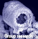 Click for information on my group's research